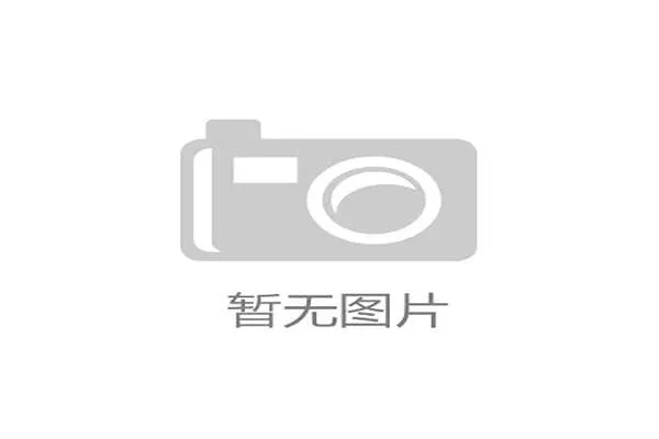 埃米尔·尼尔森荣膺世锦赛最佳守门员为丹麦队带来荣耀