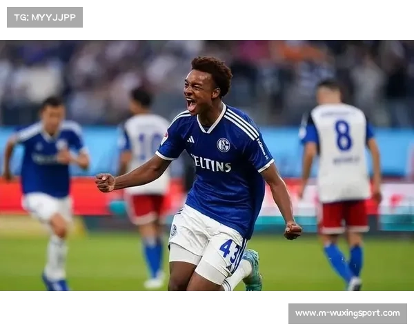 国米关注拜仁小将阿丁·利奇纳，面临米兰和尤文竞争